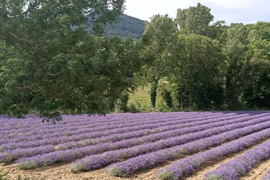 Photo of Others in La Coucourde