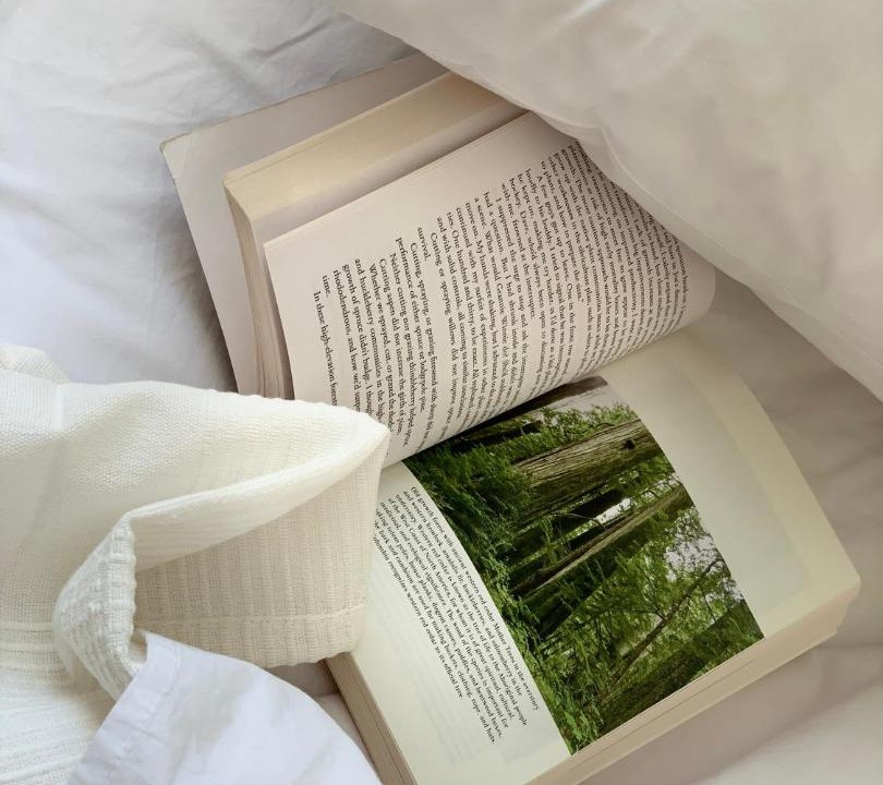 Photo of Others in Woodend