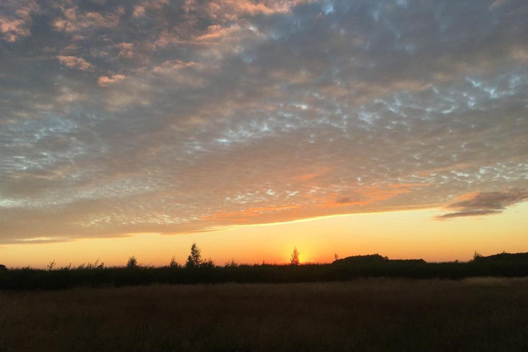 Photo of Others in Redmile