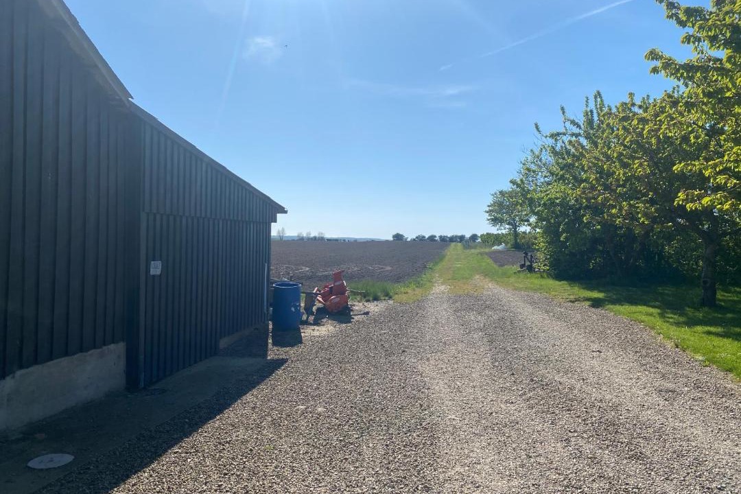 Photo of Others in Svendborg