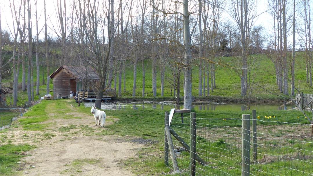 Photo of Others in Saint-Pierre-Eynac