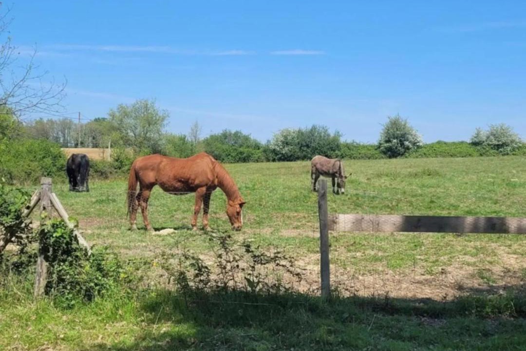 Photo of Others in Sistels