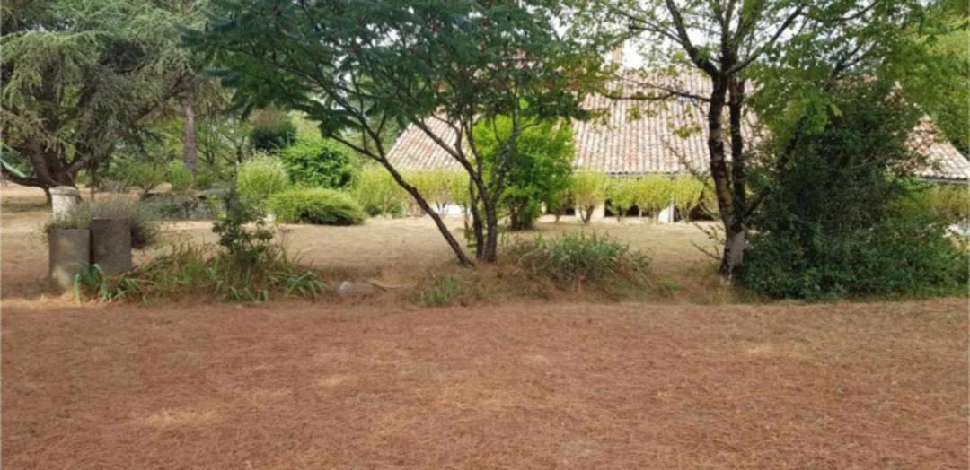 Photo of Others in Sistels