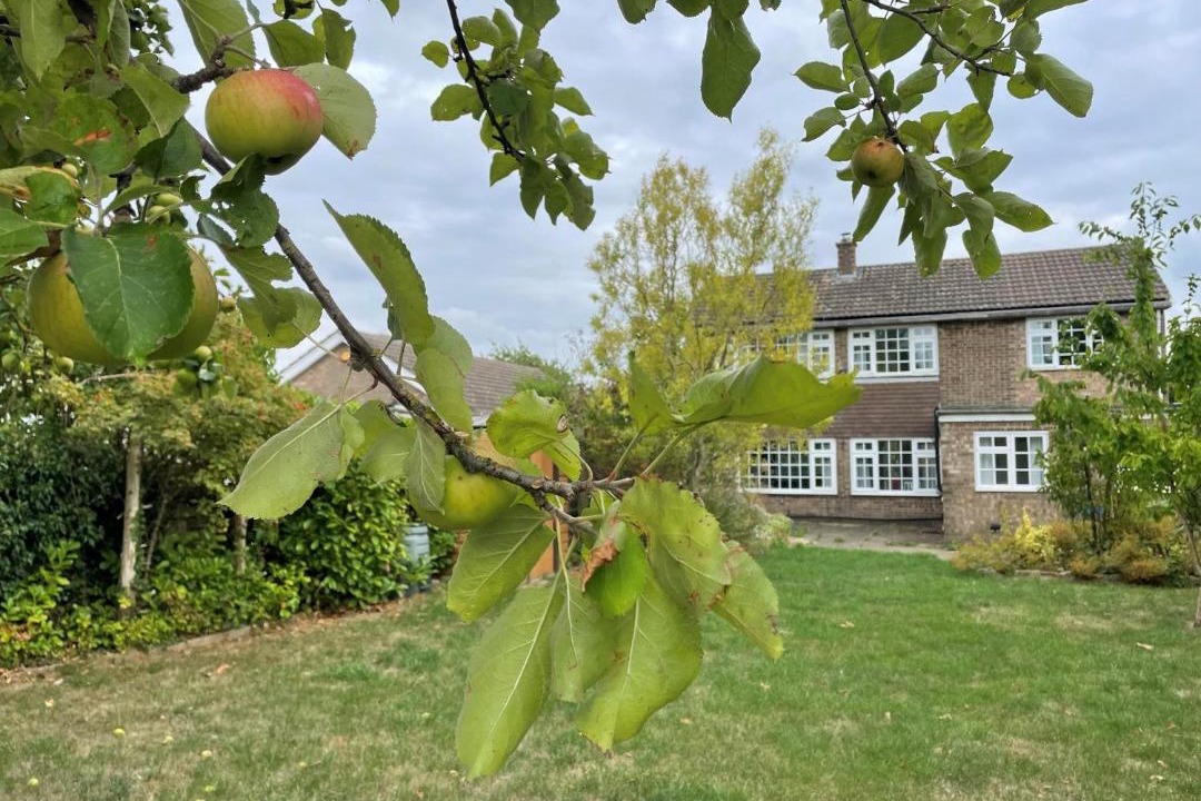 Photo of Others in Old Somerby