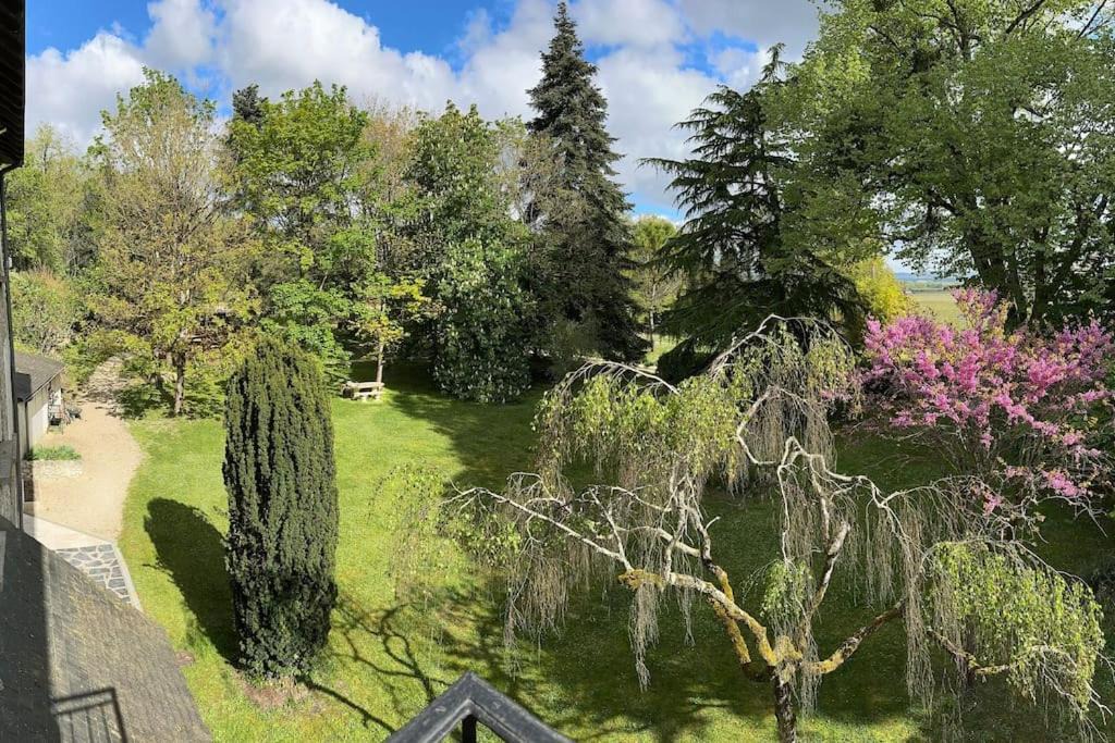 Photo of Others in Dampierre-sur-Loire