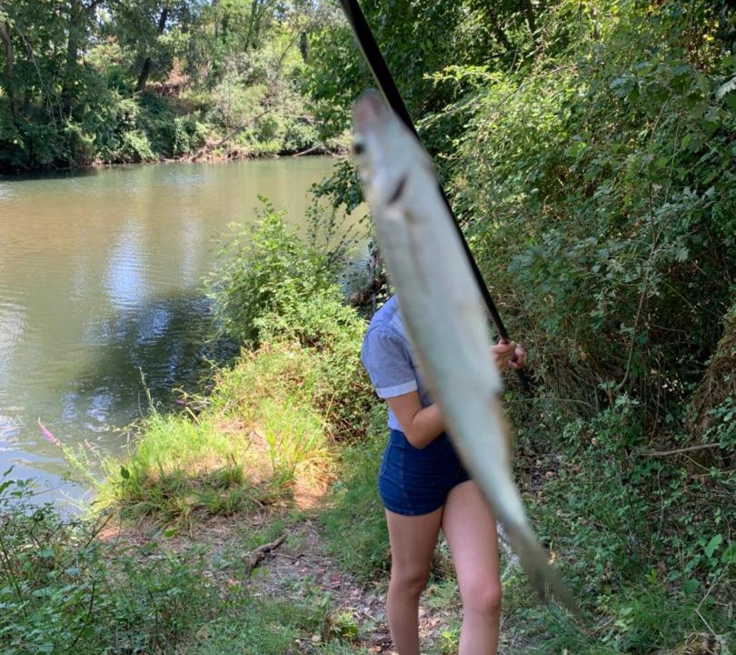 Photo of Others in Sauve