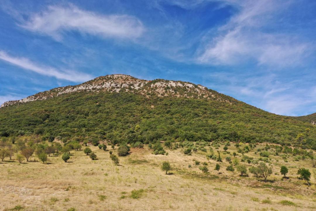 Photo of Others in Sauve