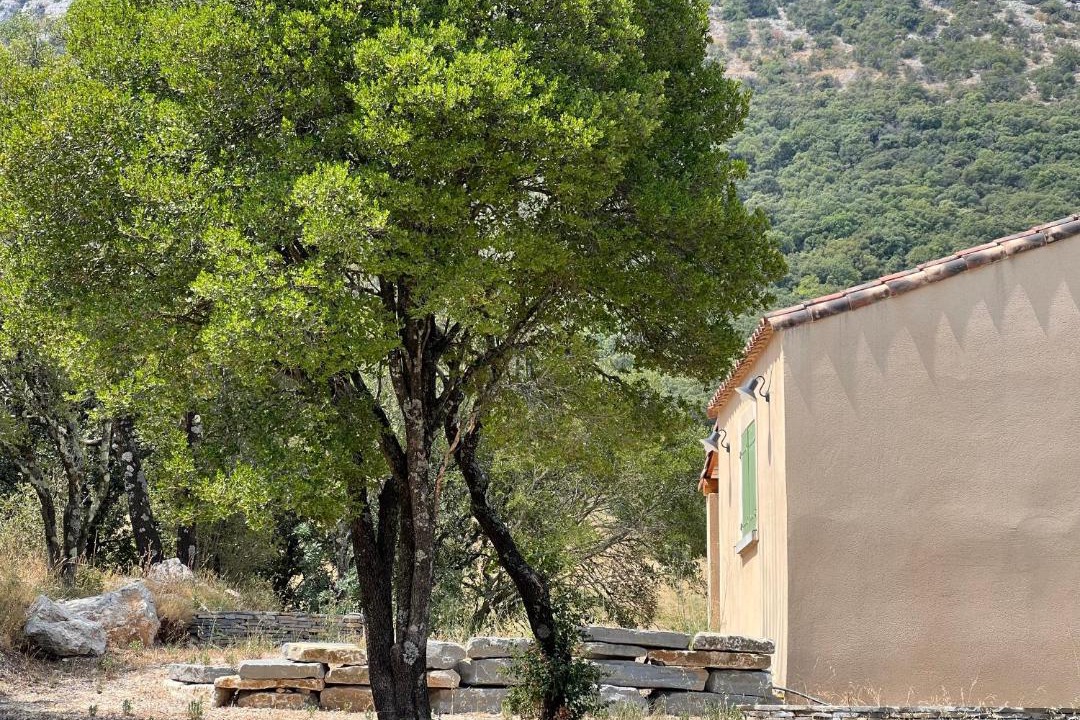 Photo of Others in Sauve