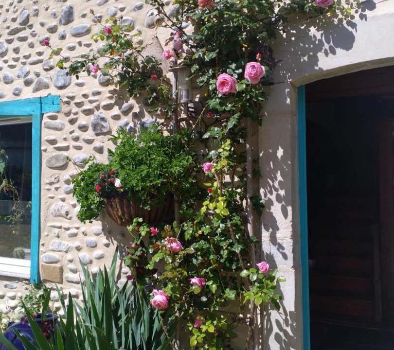 Photo of Others in Charritte-de-Bas