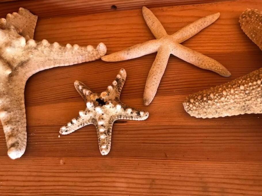 Photo of Others in Vielle-Saint-Girons