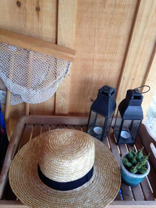 Photo of Others in Vielle-Saint-Girons