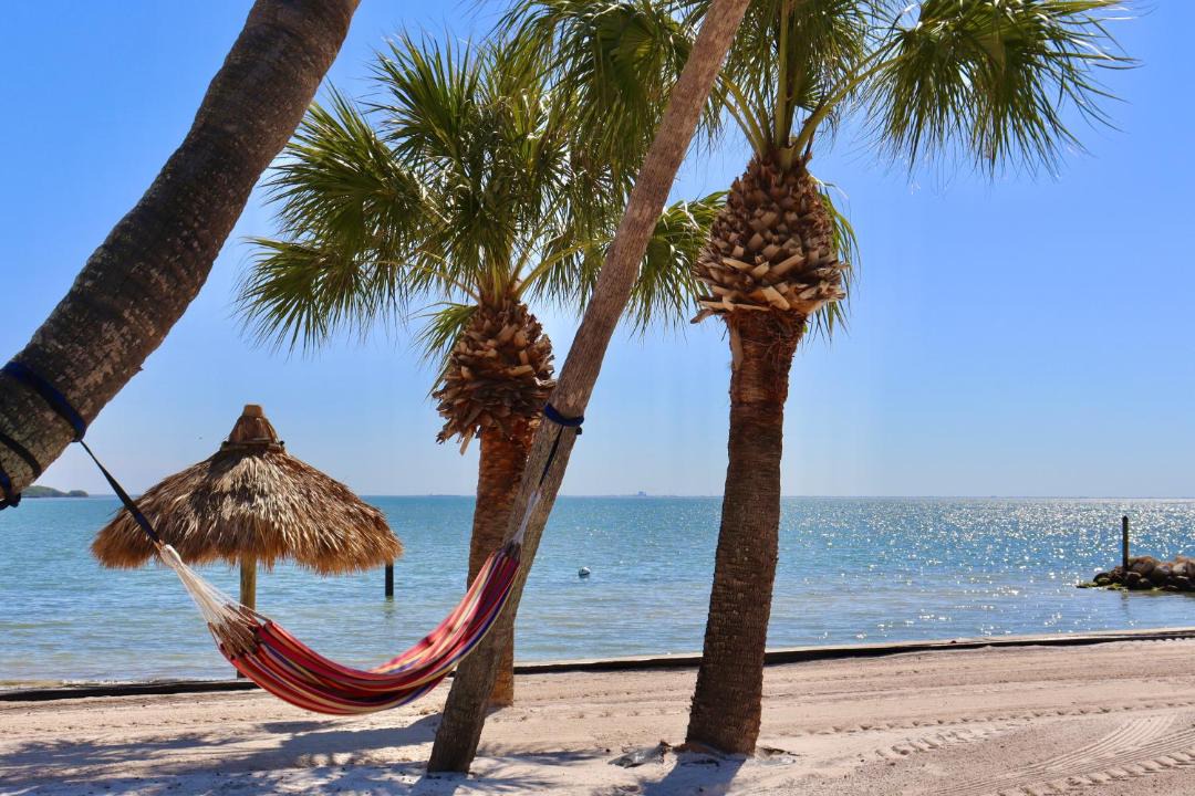 Photo of Others in Pinellas Point