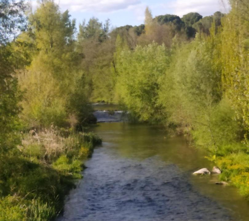 Photo of Others in Gironella