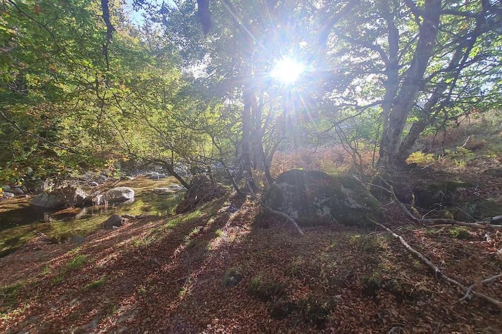 Photo of Others in Valleraugue