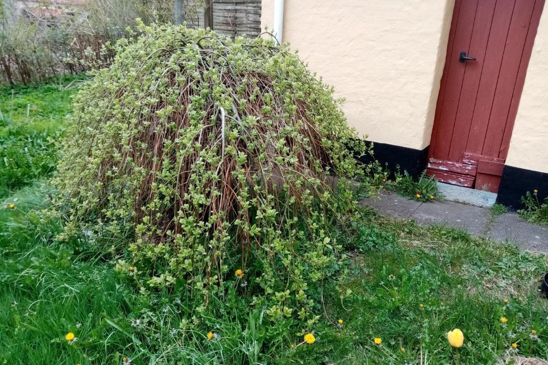 Photo of Others in Frostrup