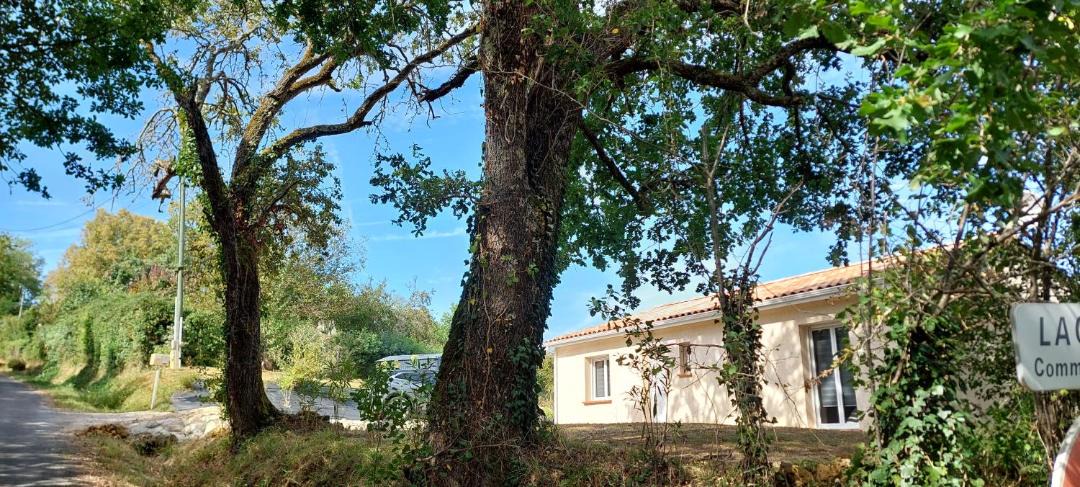 Photo of Others in Puycelci