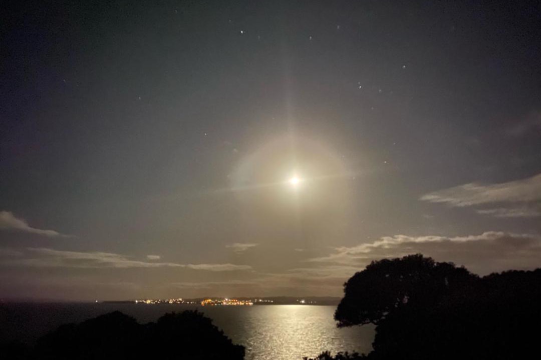 Photo of Others in Mellons Bay