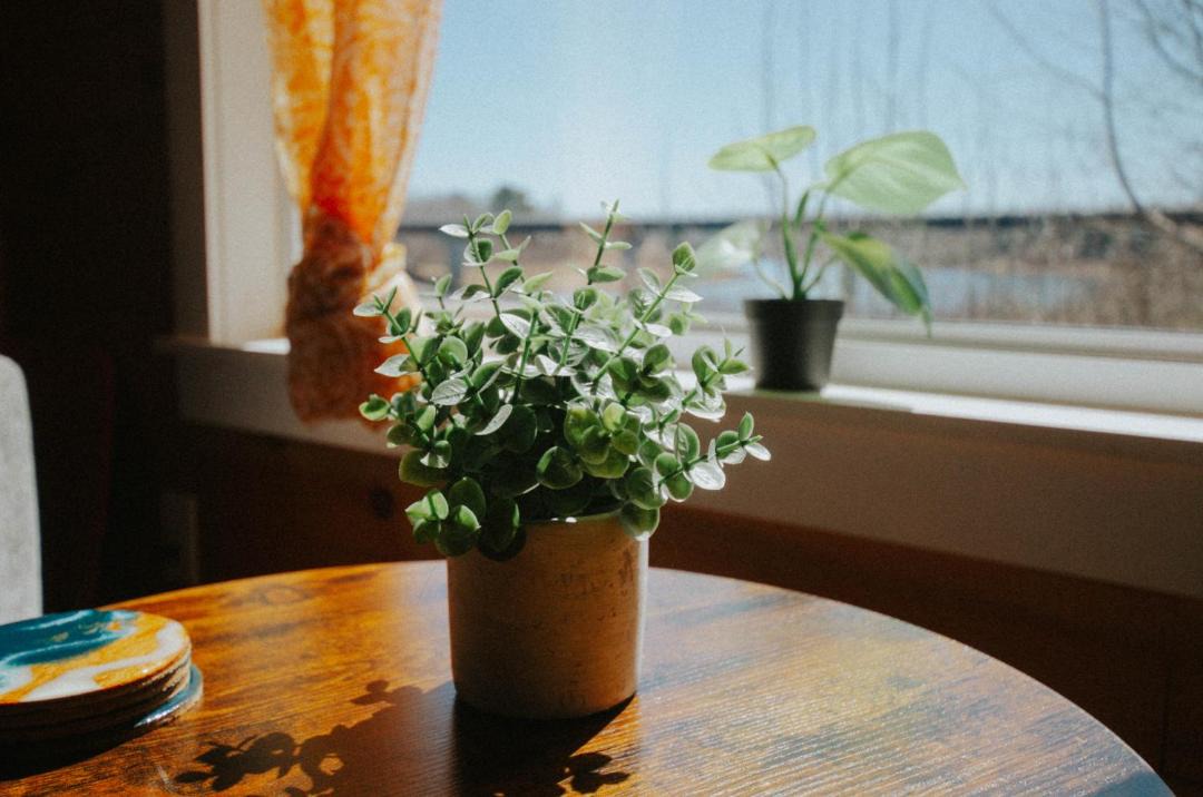 Photo of Others in Red Bank