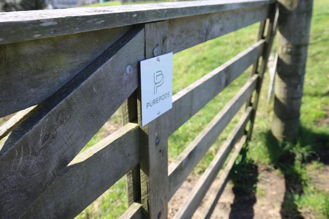 Photo of Others in Helensville