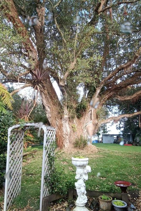 Photo of Others in Te Kuiti