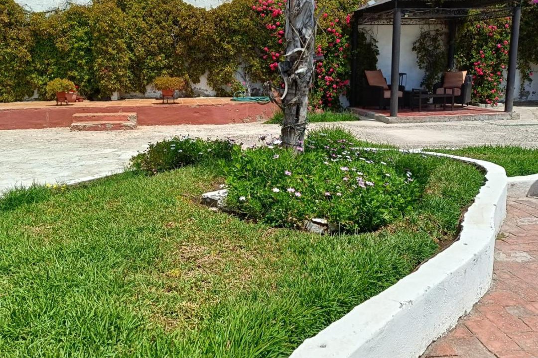 Photo of Others in Ensenada