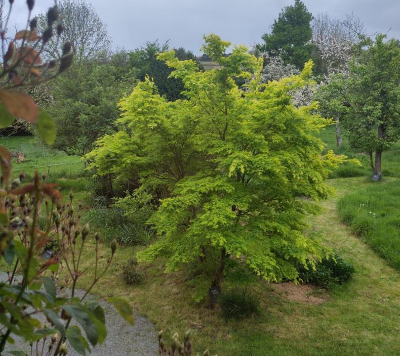 Photo of Others in Pont Farcy