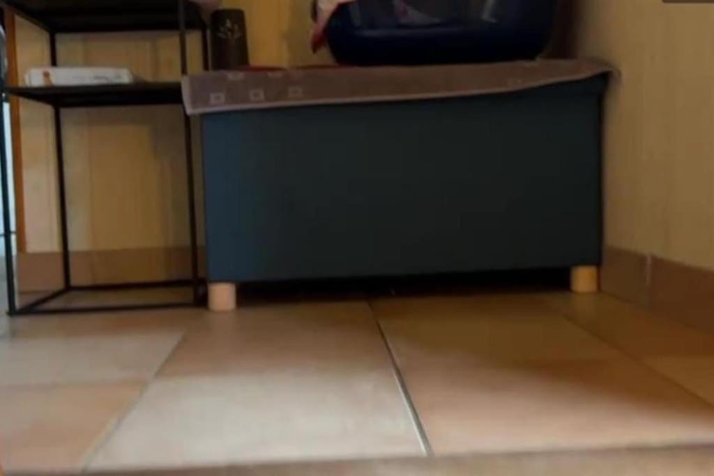 Photo of Others in Channay-sur-Lathan