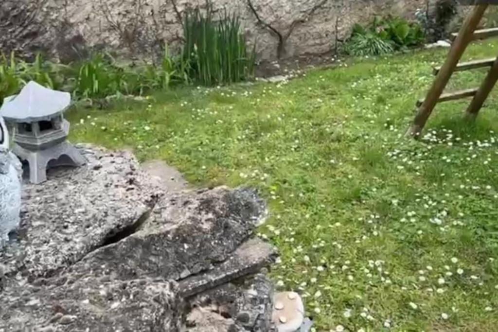 Photo of Others in Channay-sur-Lathan