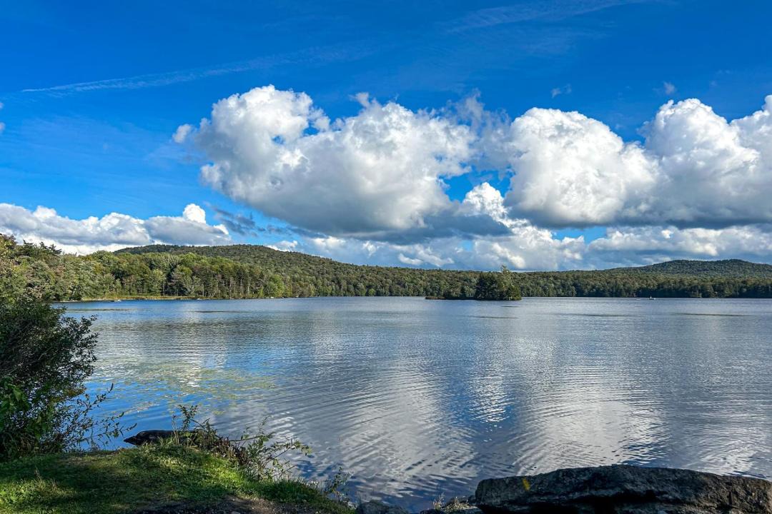 Photo of Others in Mount Holly