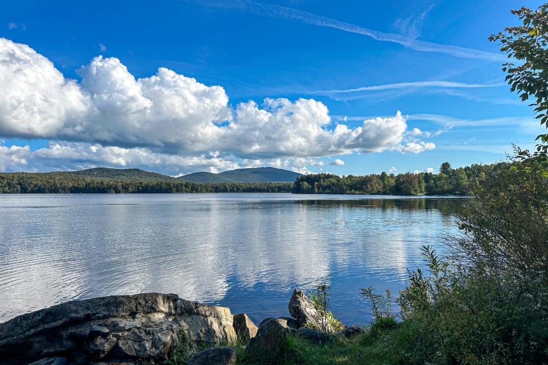 Photo of Others in Mount Holly