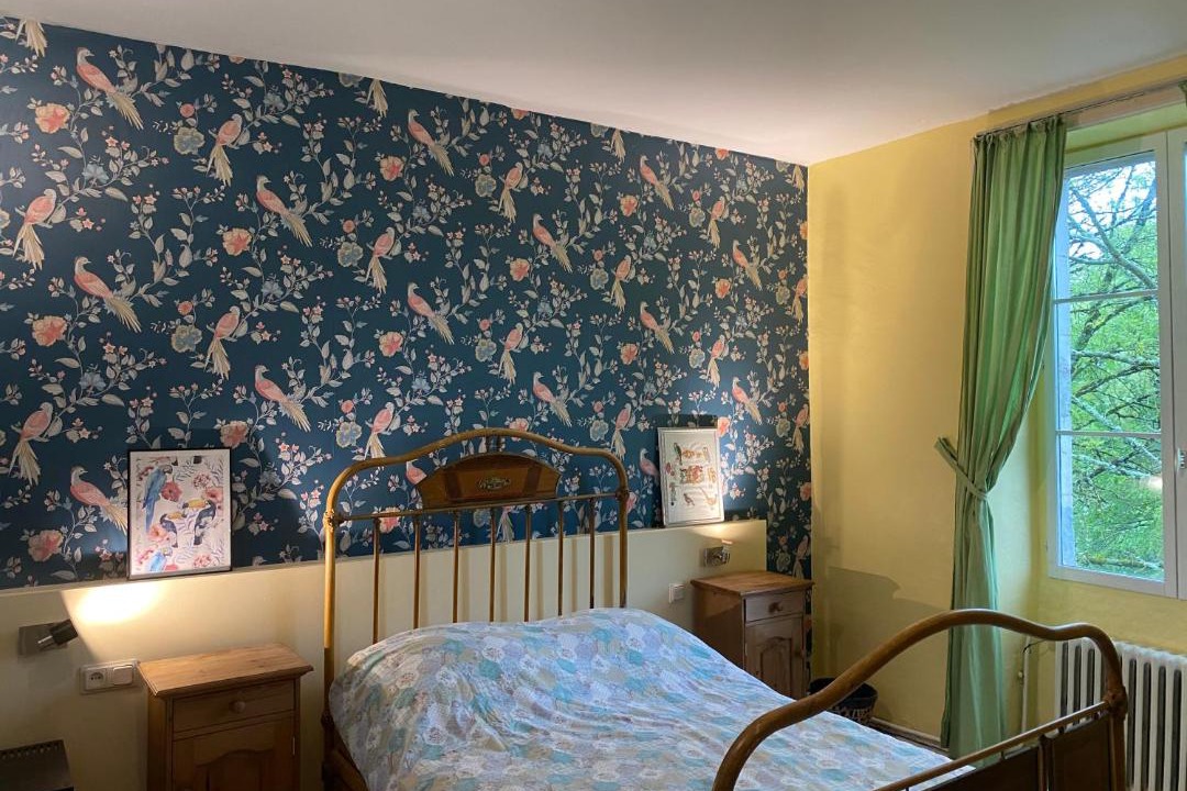 Photo of Others in Scoury