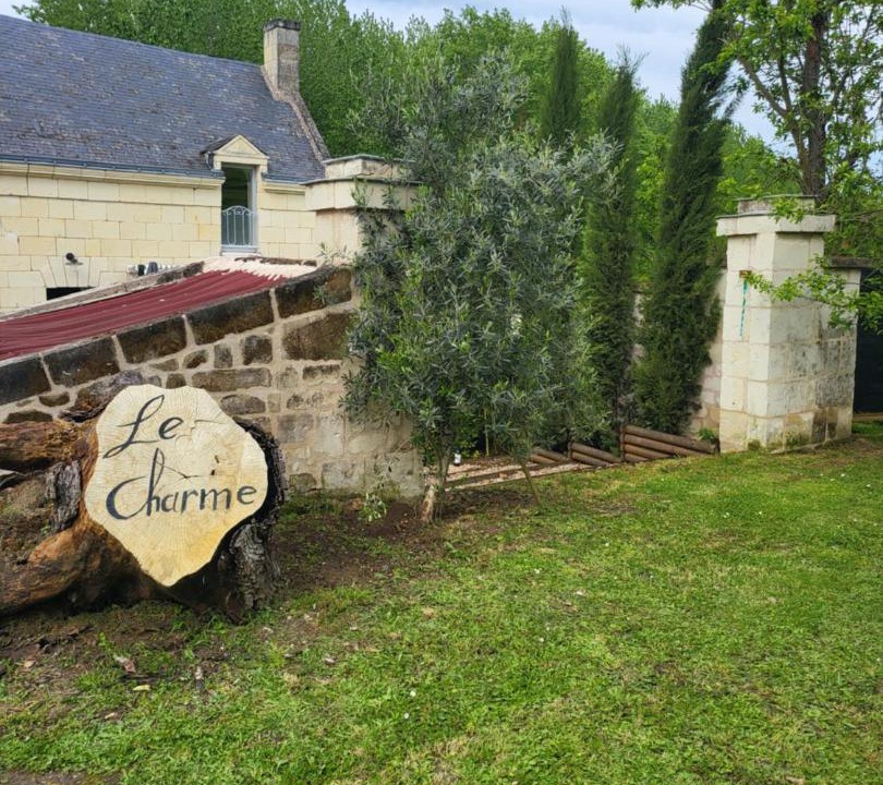 Photo of Others in Cinais