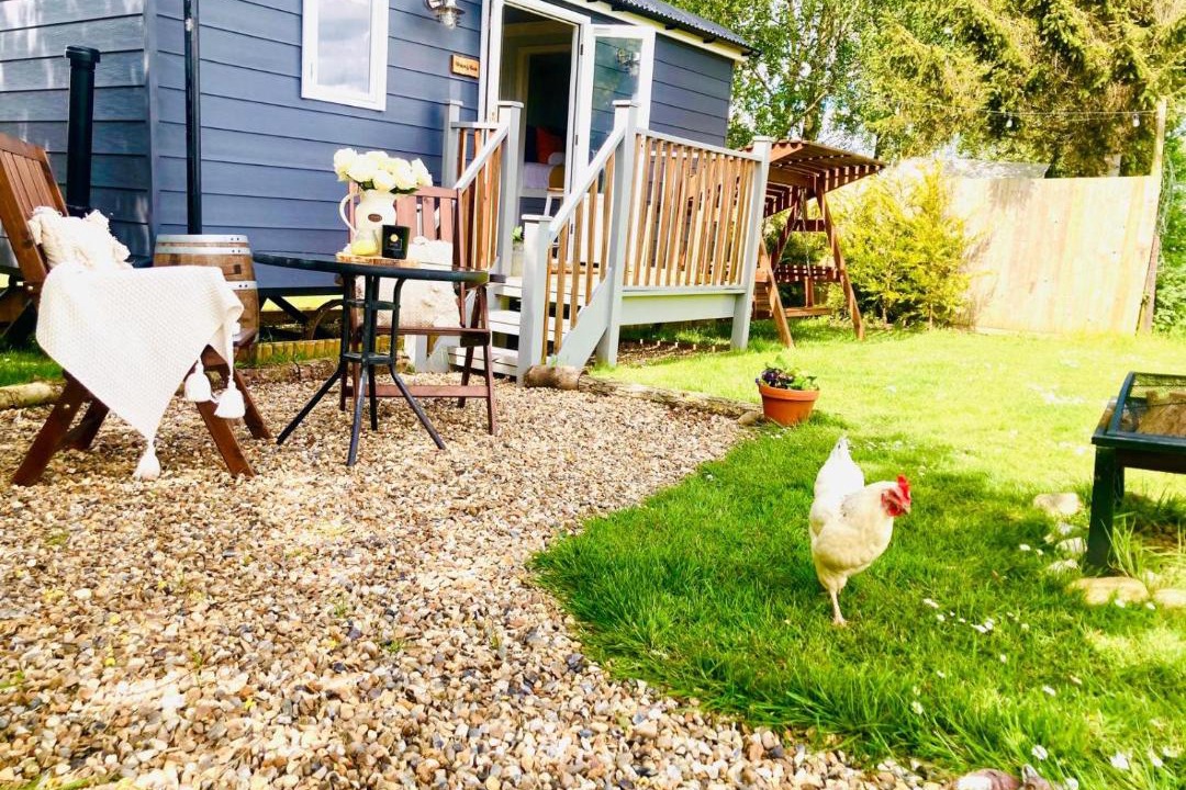 Photo of Others in Eye