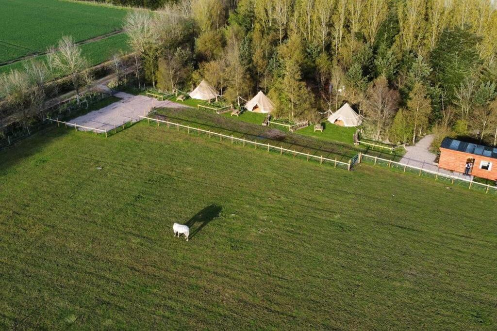 Photo of Others in Murthill