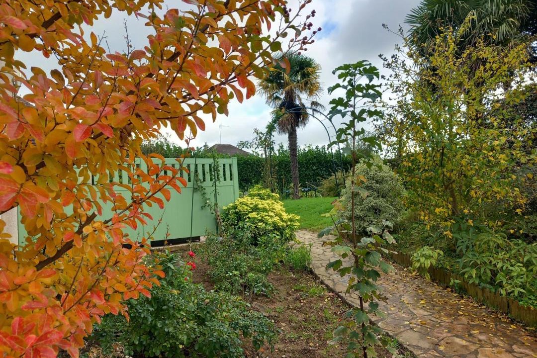 Photo of Others in Ballon