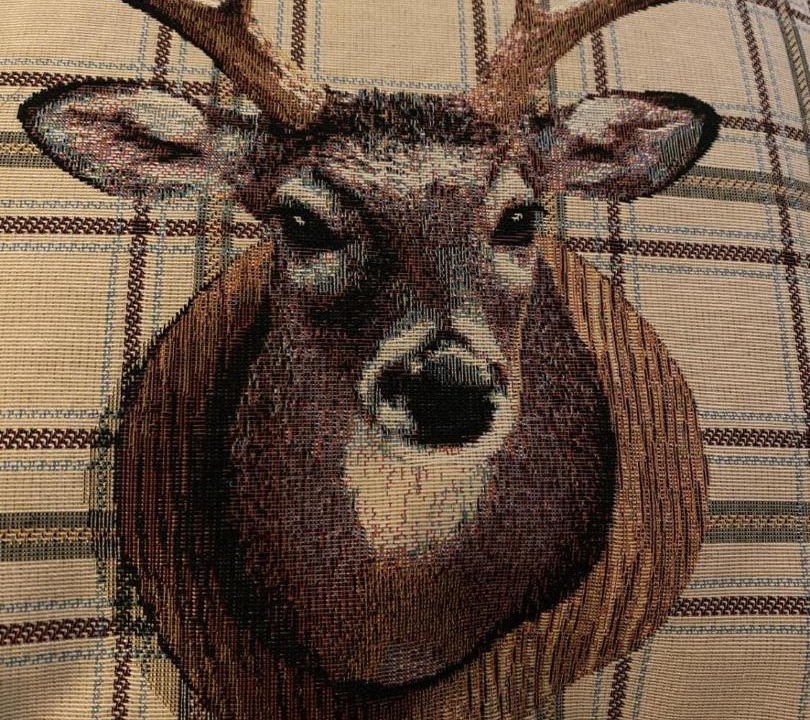 Photo of Others in Arrochar