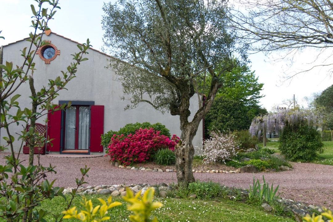 Photo of Others in L'Aiguillon-sur-Vie