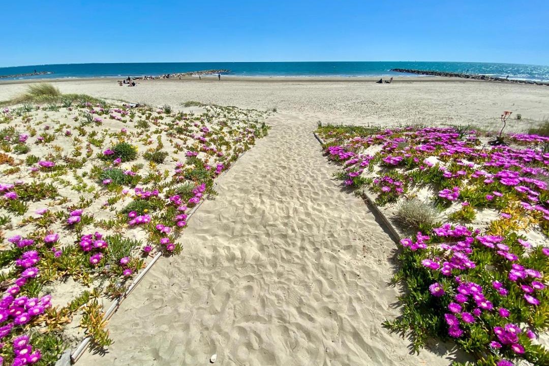 Photo of Outdoor in Carnon-Plage