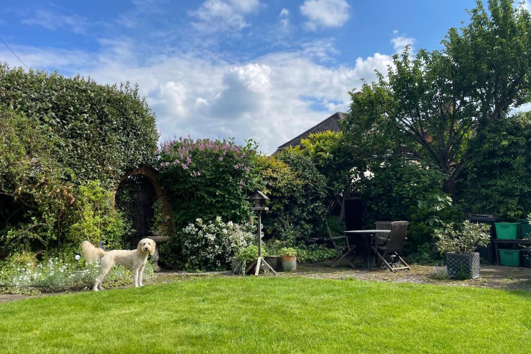 Photo of Others in London Borough of Bromley