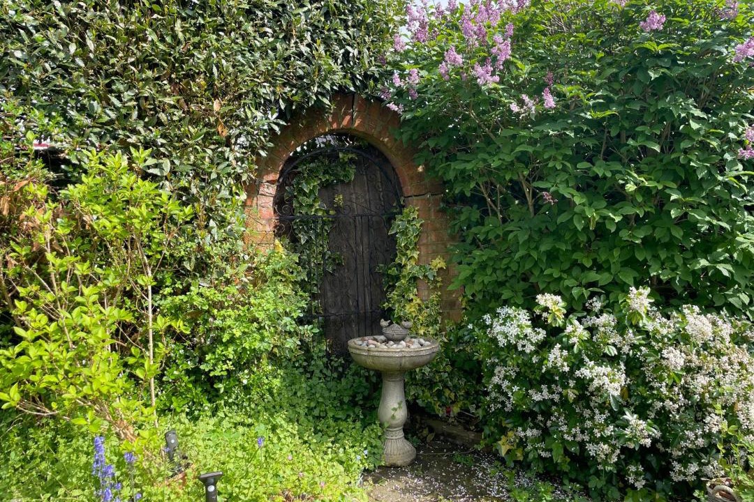 Photo of Others in London Borough of Bromley