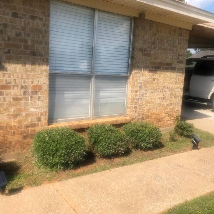 Photo of Others in Kilgore