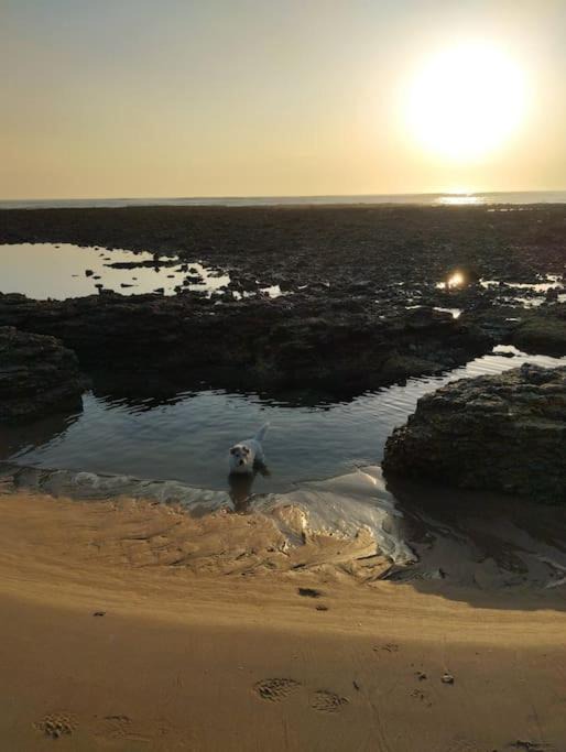 Photo of Others in Domino