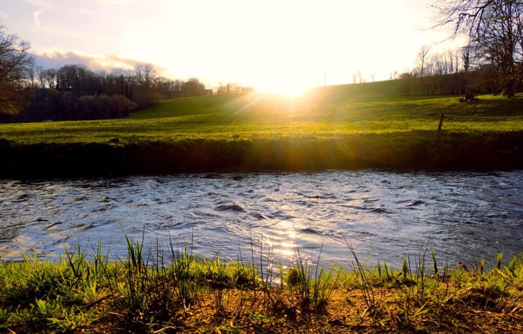 Photo of Others in Condat-sur-Ganaveix