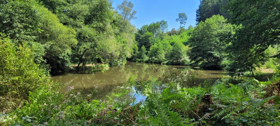 Photo of Outdoor in Condat-sur-Ganaveix