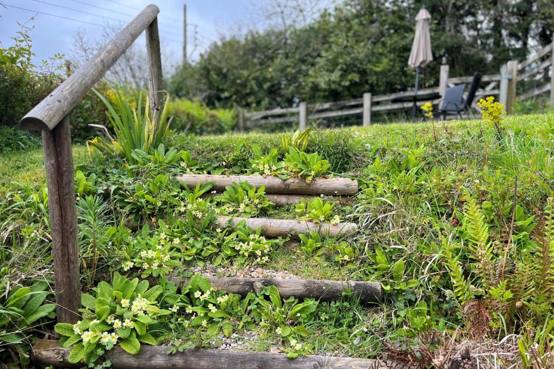 Photo of Others in Wootton Courtenay