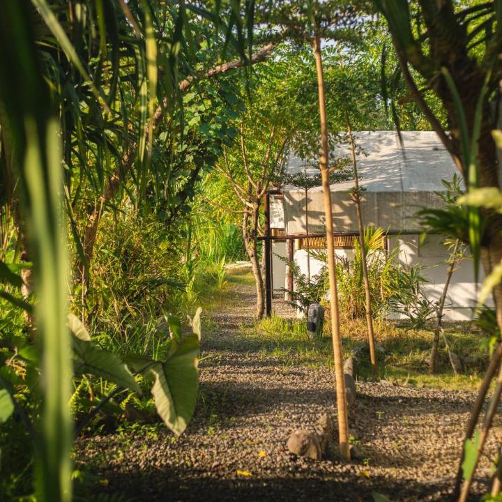 Photo of Others in Amlapura