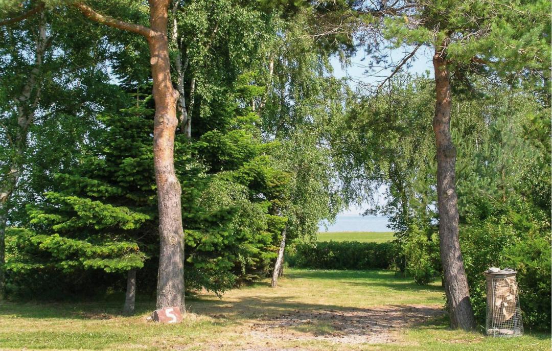 Photo of Others in Østerskov