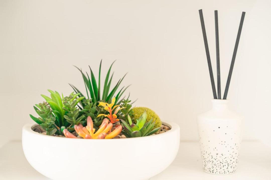 Photo of Others in Dairy Flat