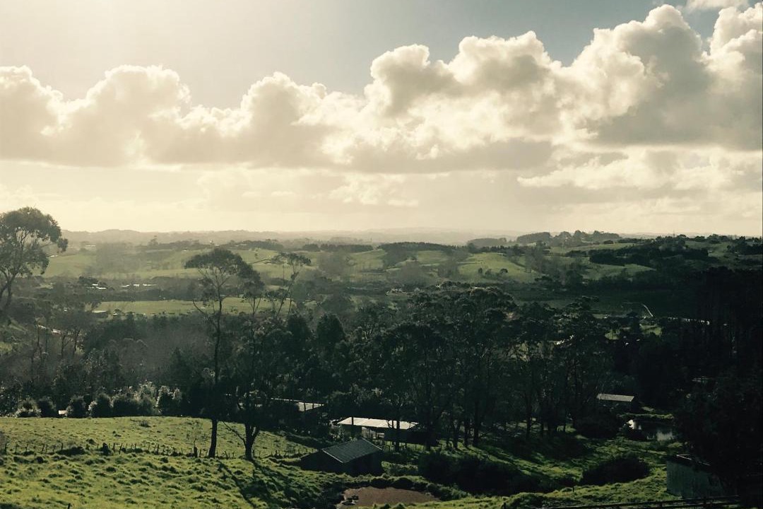 Photo of Others in Dairy Flat