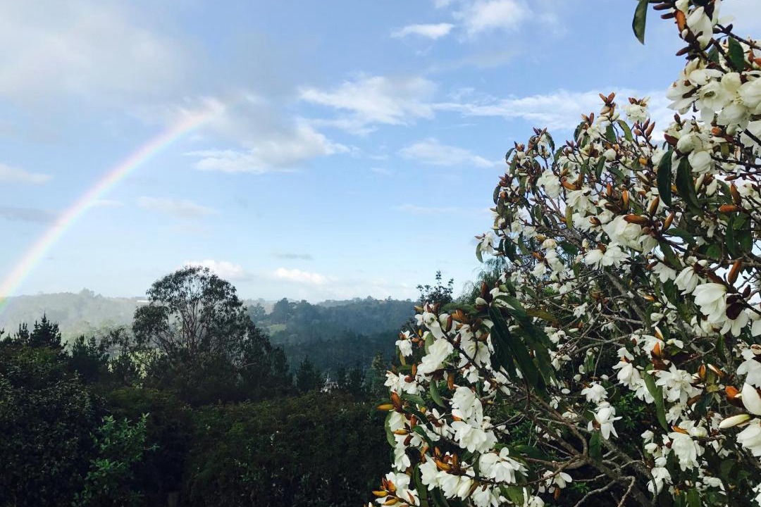 Photo of Others in Dairy Flat